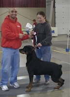 American Bulldog Club