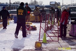 American Bulldog Weight Pull Event