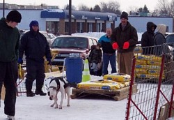 American Bulldog Weight Pull Event